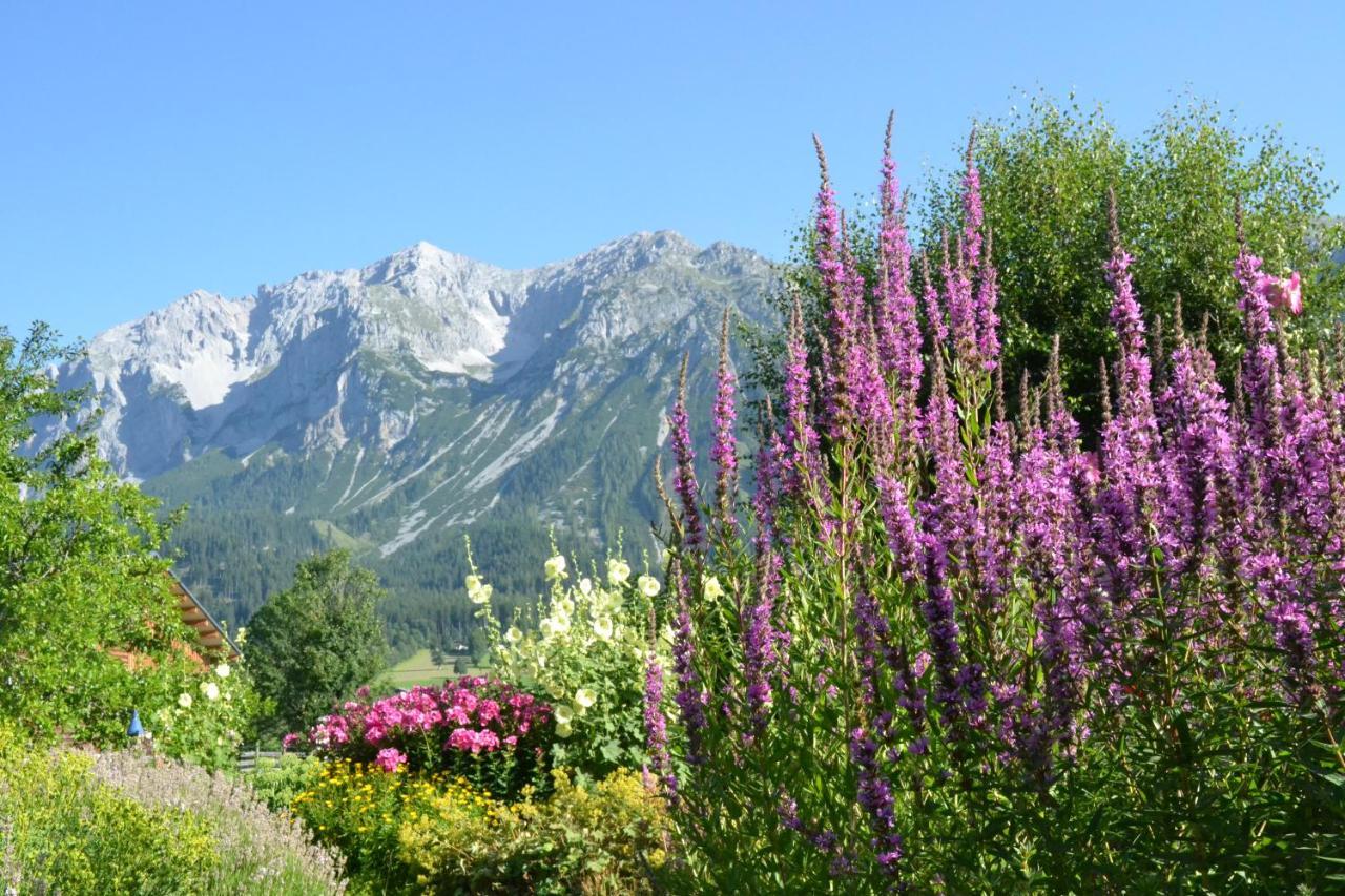 Pension Möslehnerhof Ramsau am Dachstein Exterior foto