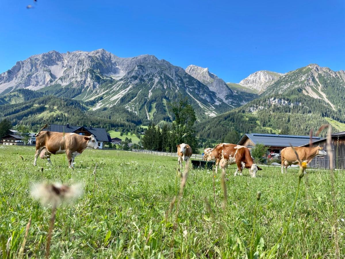 Pension Möslehnerhof Ramsau am Dachstein Exterior foto